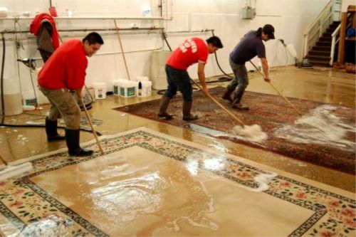 carpets, Persians - irana,, milan, cinisello balsamo 21