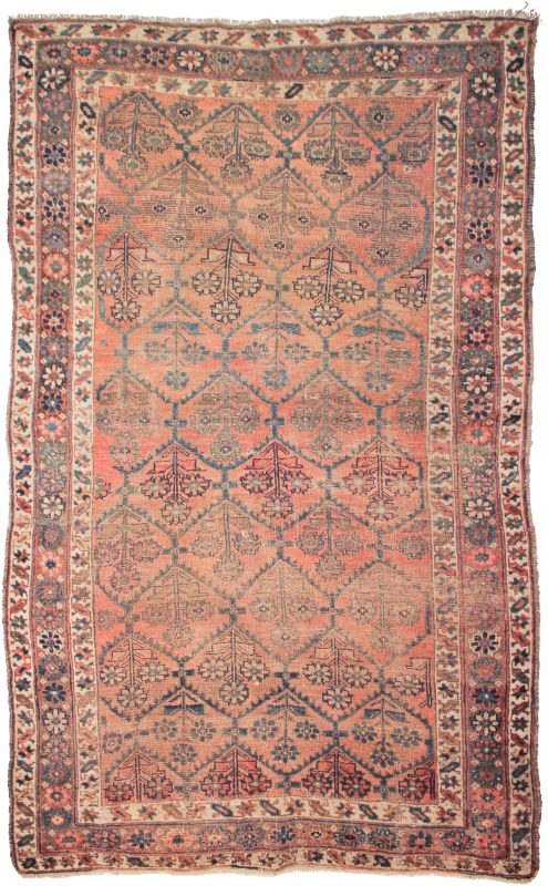 Tappeti Persiani ed Orientali in Italia