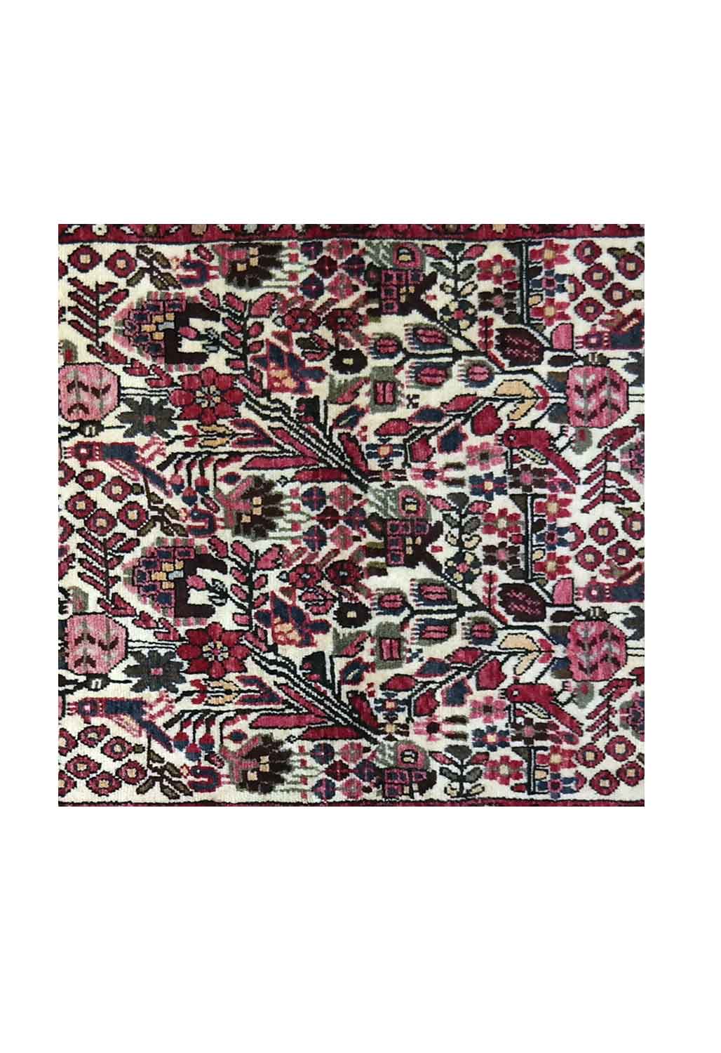 Rudbar rug / walkway