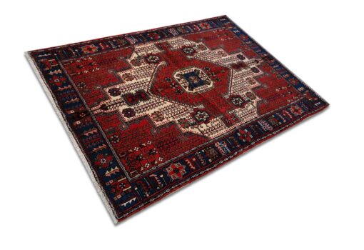 Nahavand Carpet 200x145cm - A0565 - Image 4