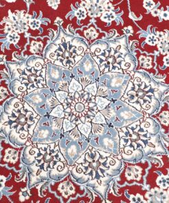 NAIN KASHMAR Rug 6'7"x6'6" - Z481187 - Image 5